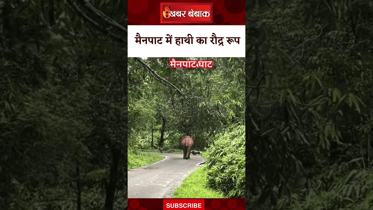 Mainpat में हाथी का रौद्र रूप | CG Elephant Viral Video