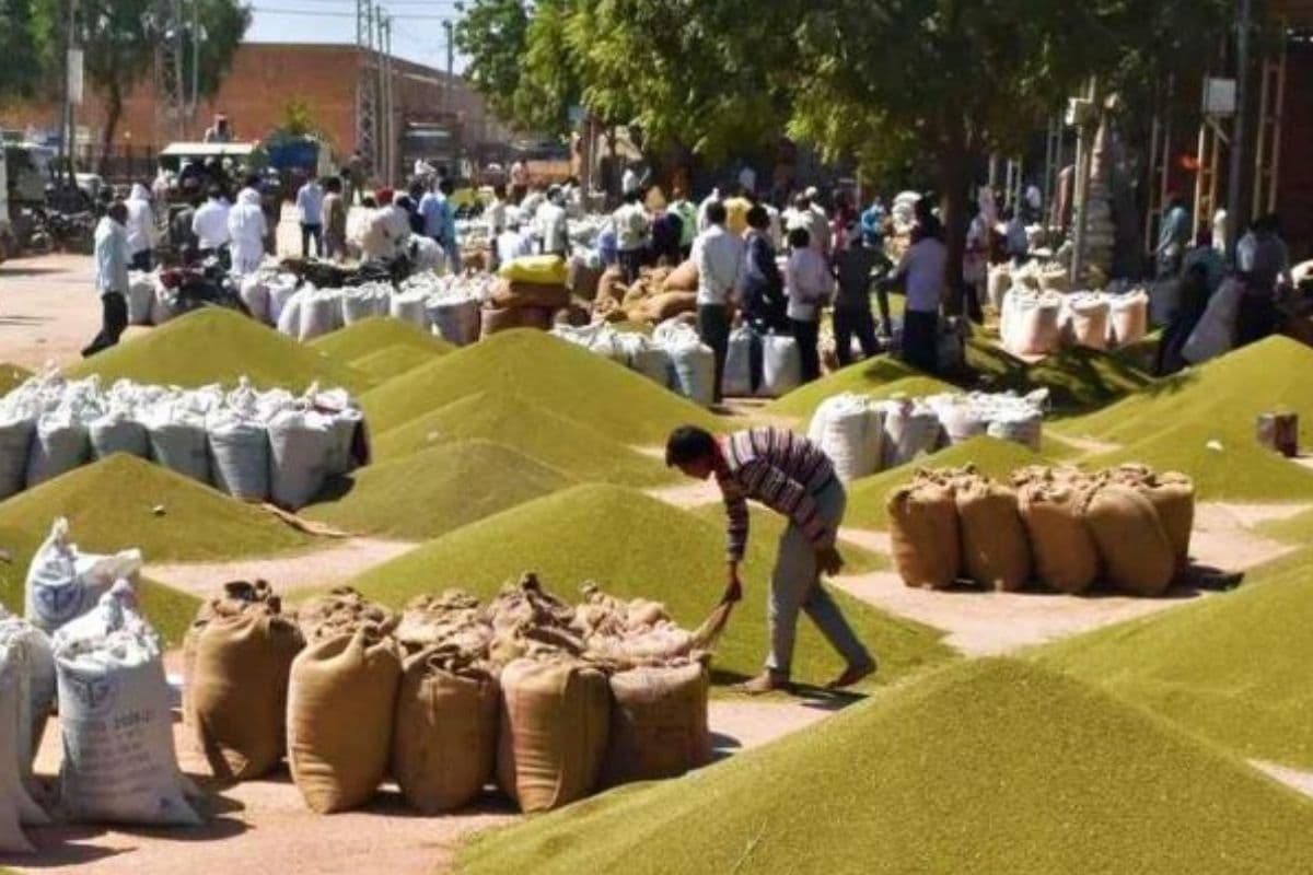 Jabalpur News: धान-गेहूं के बाद अब मूंग खरीदी में घोटाला, फर्जी किसानों के नाम पर लाखों की हेराफेरी, जांच शुरू