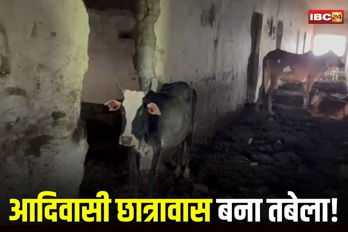 Raipur News: ऑपरेशन रावण के बाद IBC24 का एक और खुलासा, तबेले में तब्दील हुआ 3 मंजिला आदिवासी छात्रावास, अंदर का नजारा देख दंग रह जाएंगे आप