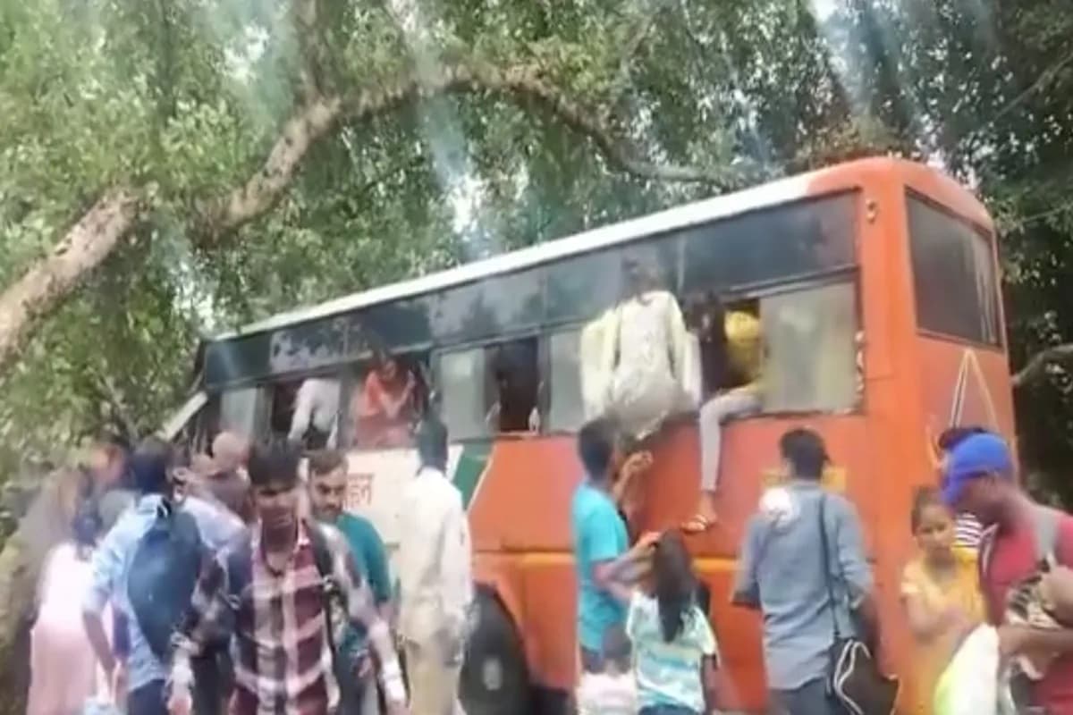 Barabanki Road Accident: चलती बस के ऊपर गिरा पेड़, 4 शिक्षक समेत 5 की मौत, खिड़की से कूदकर लोगों ने बचाई जान, देखिए ये वीडियो