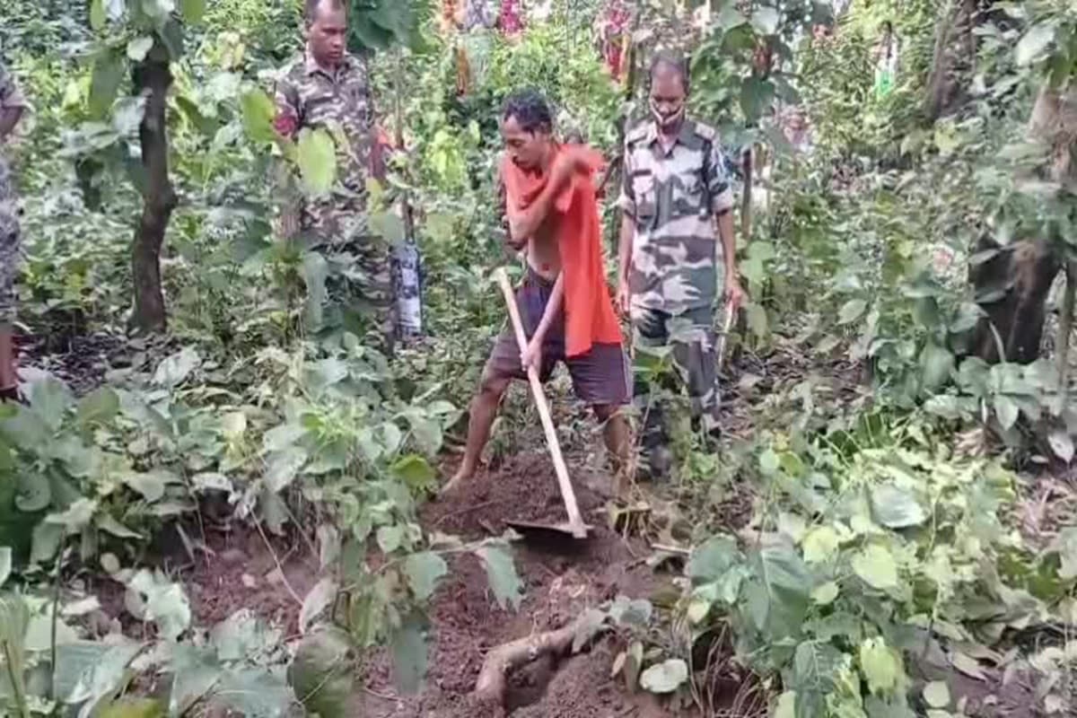 Balrampur News: जंगल गए थे माता-पिता…घर पिता तो लौट आए लेकिन माँ नहीं, इस तरह मासूम बच्चे ने खोला खौफनाक राज