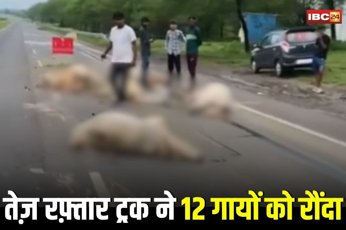 Guna Accident News: तेज़ रफ़्तार ट्रक ने 12 गायों को रौंदा, प्रशासन पर भड़के लोग, ग्रामीणों ने कर दी ये बड़ी मांग