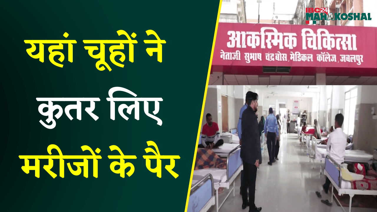 Jabalpur Medical College Hospital Rat bites case, देखिए ग्राउंड रिपोर्ट।