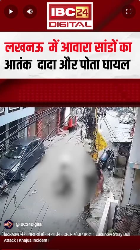lucknow में आवारा सांडों का आतंक, दादा- पोता घायल | Lucknow Stray Bull Attack