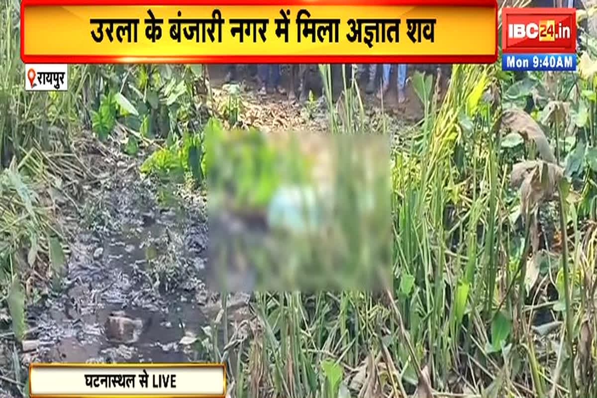 Raipur Crime News/Image Credit: IBC24