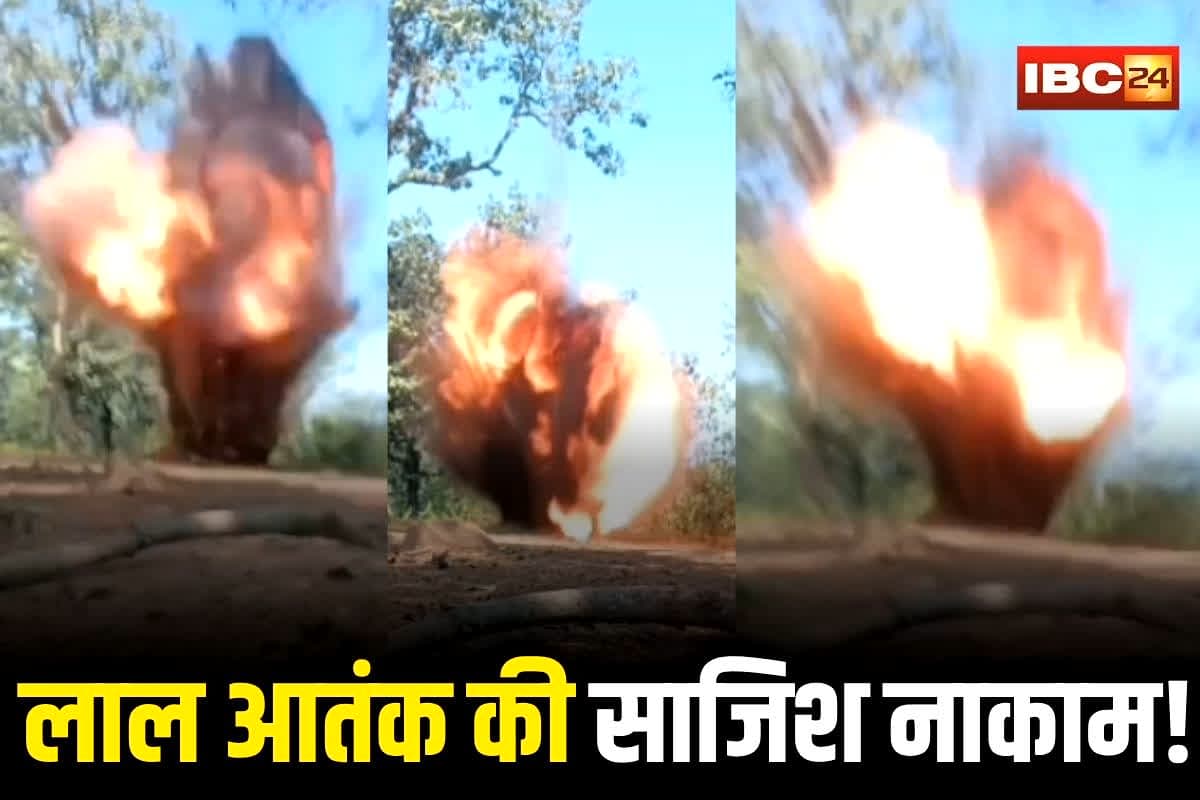 Bijapur Naxal News: लाल आतंक का घातक प्लान फेल! सड़क किनारे नक्सलियों ने बिछा कर रखे थे कमांड IED, लेकिन जवानों ने ऐसे नाकाम किया साजिश, देखें वीडियो