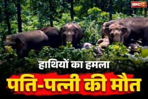 Chhattisgarh Hathi Attack News: धान के फेर में गंवाई दम्पत्ति ने जान… खलिहान में सोए पति-पत्नी पर अचानक हाथियों ने किया हमला, मौत, इस जिले का मामला