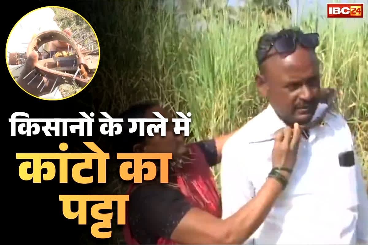 Pune Leopard Attack News: आखिर किसान क्यों पहन रहे हैं गले में कांटो का पट्टा ?.. किस बात का है इन्हें खौफ?.. देखें हैरान कर देने वाली तस्वीर