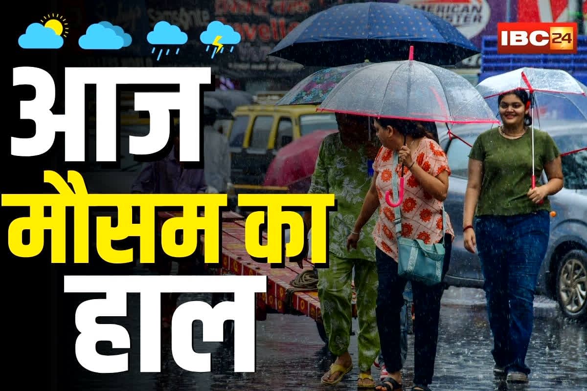 Weather Update News Today: प्रदेश में सर्द रातें, ठंड फिर पकड़ने वाली है रफ्तार! जानिए नवंबर के आखिरी दिन मौसम का हाल