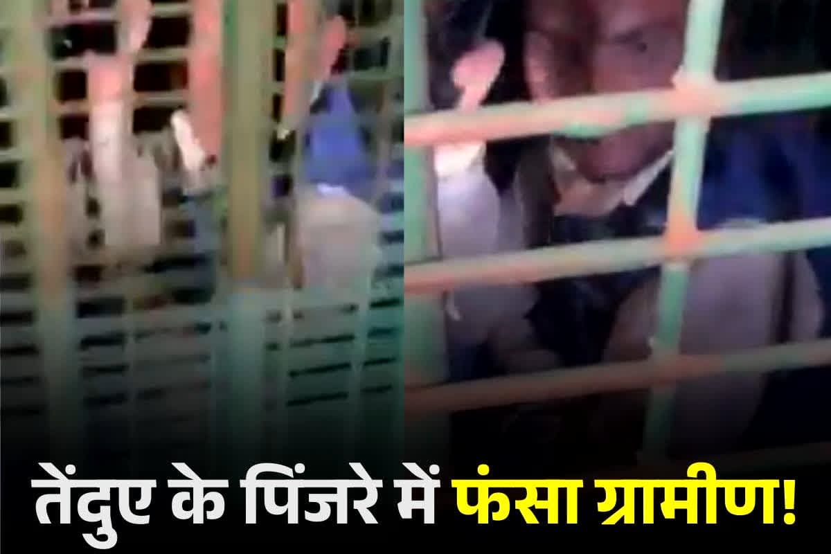 Bahraich News: खौफ के बीच हो गई कॉमेडी! ग्रामीण जिसे समझे खूंखार जानवर, वो निकला गांव का ही नशेड़ी, इस लालच में हुआ था पिंजरे में कैद