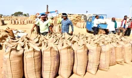 Chhattisgarh Dhan Kharidi 2025: छत्तीसगढ़ में धान खरीदी का पहला दिन कैसा रहा, कर्मचारियों के हड़ताल में क्या है अपडेट, इस खबर को पढ़कर पाएं हर सवाल का जवाब…