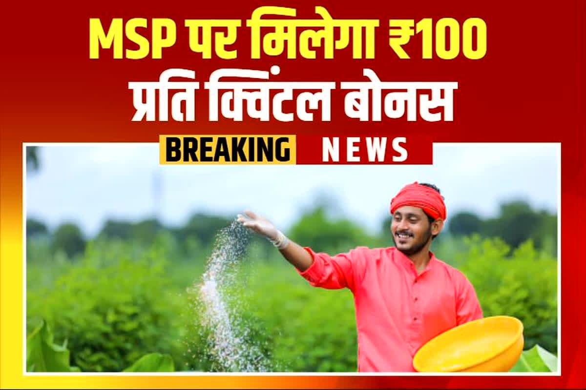 Dhan Kharidi 2025: अन्नदाताओं को बड़ी सौगात, अब धान पर प्रति क्विंटल मिलेगा बोनस, एकमुश्त होगा पैसे का भुगतान
