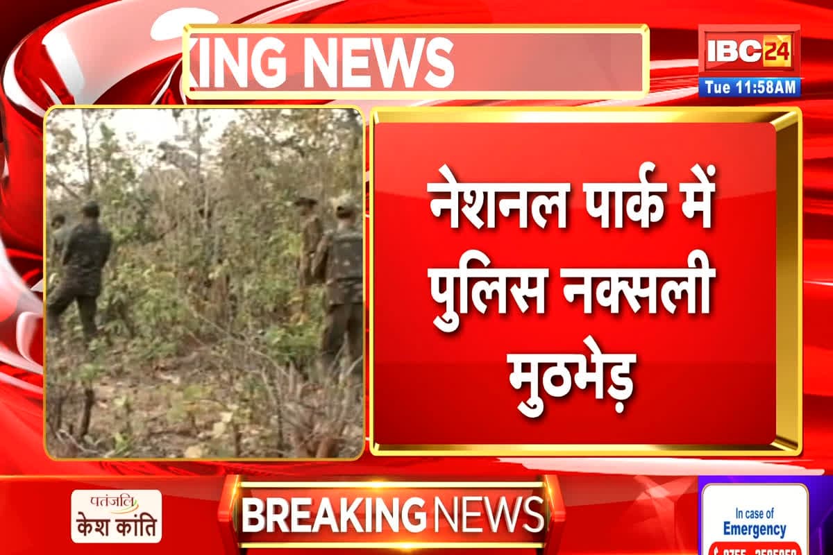 Naxal Encounter In Bijapur: नेशनल पार्क में पुलिस और नक्सलियों के बीच मुठभेड़, बड़े नक्सली लीडर्स के मारे जाने की खबर