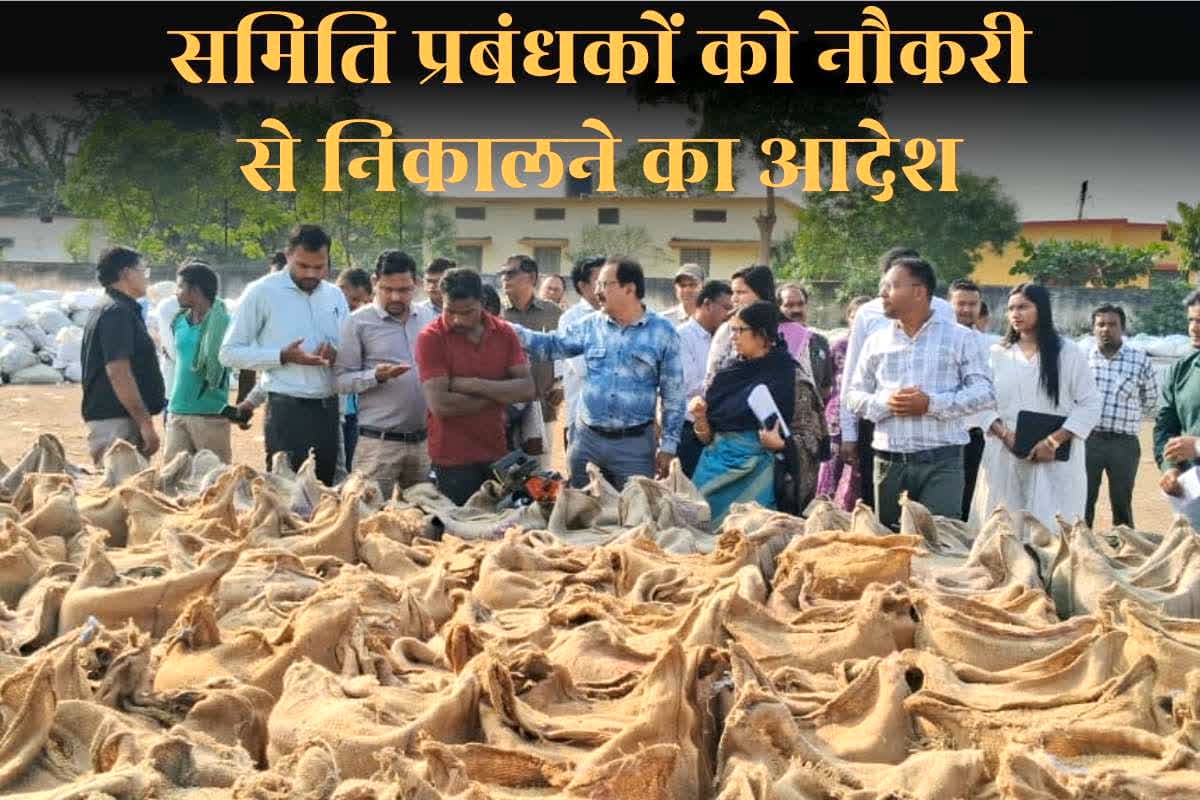 CG Dhan Kharidi 2025-26: धान खरीदी के बीच समिति प्रबंधकों को सरकार ने नौकरी से निकाला, तीन अन्य कर्मचारियों पर भी मामला दर्ज, जानिए क्यों लिया ऐसा एक्शन
