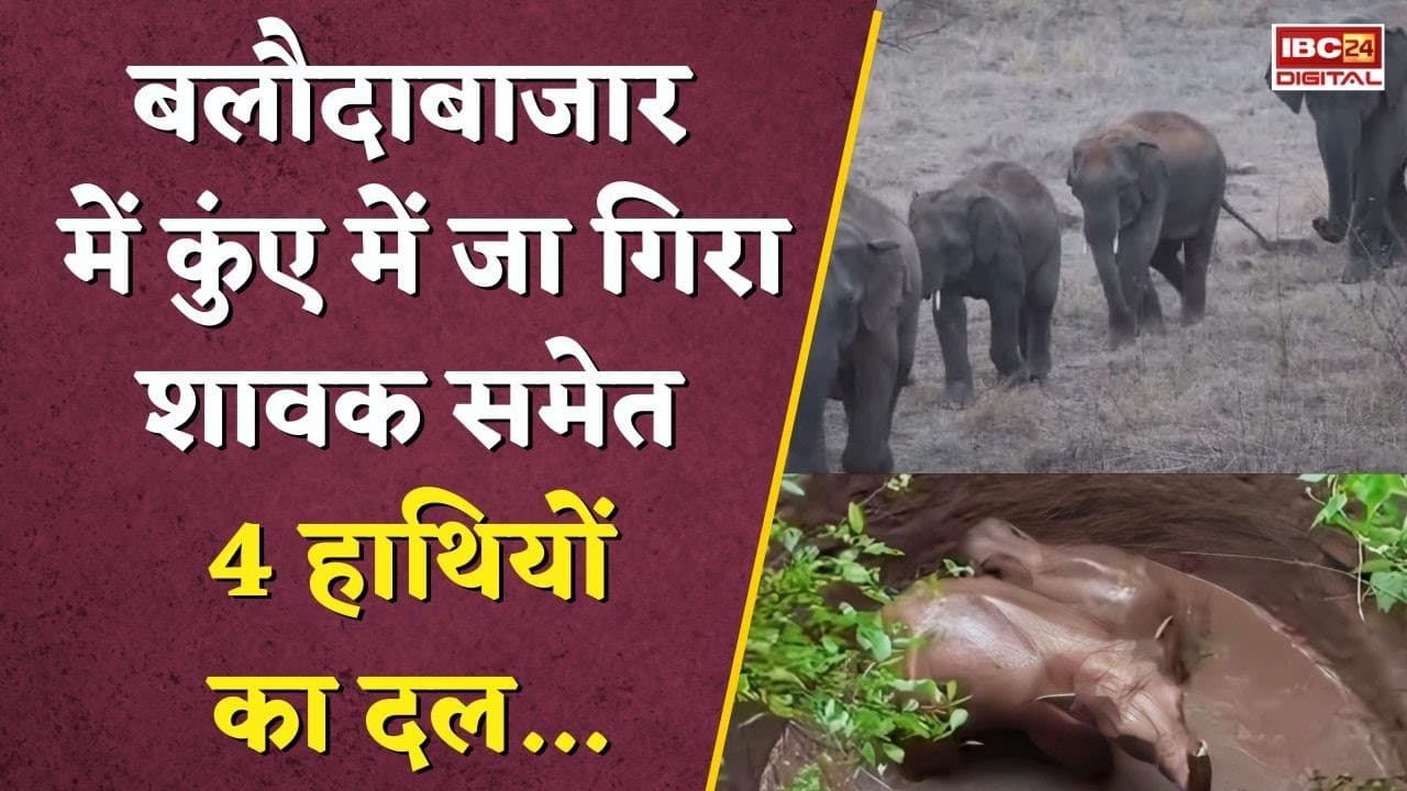 Baloda Bazar में कुंए में जा गिरा शावक समेत 4 हाथियों का दल.. आसपास के इलाके में अलर्ट