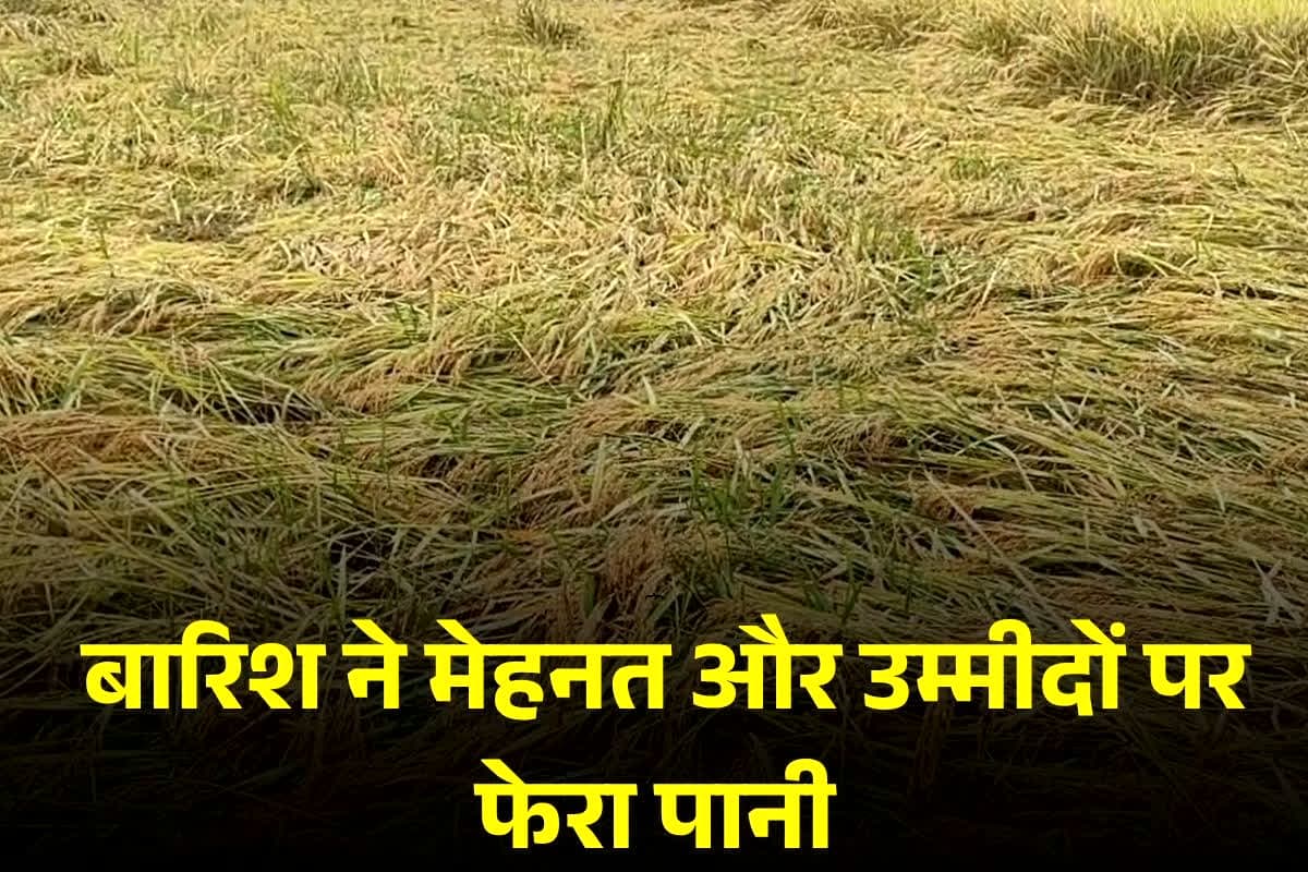 Umariya News: मूसलाधार बारिश ने खोखला किया किसानों का जीवन… खेत हुए तालाब में तब्दील!.. ग्रामीणों की रोज़ी-रोटी पर डाला संकट