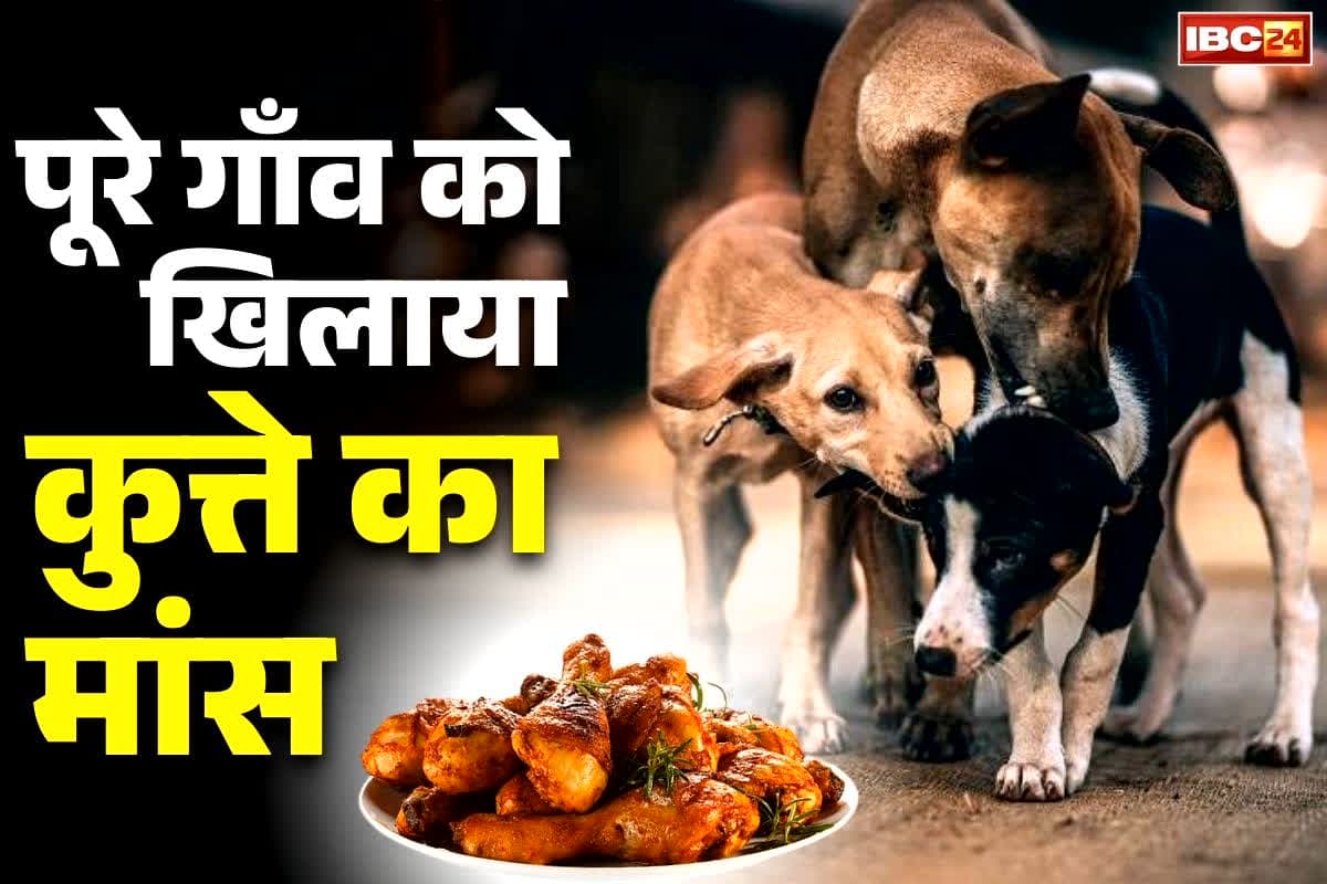 Motihari Dog Meat News: खरगोश का गोश्त बताकर पूरे गाँव को खिला दिया कुत्ते का मांस.. शराब पीने की सनक में कर डाला काण्ड, जानें कैसे हुआ खुलासा..
