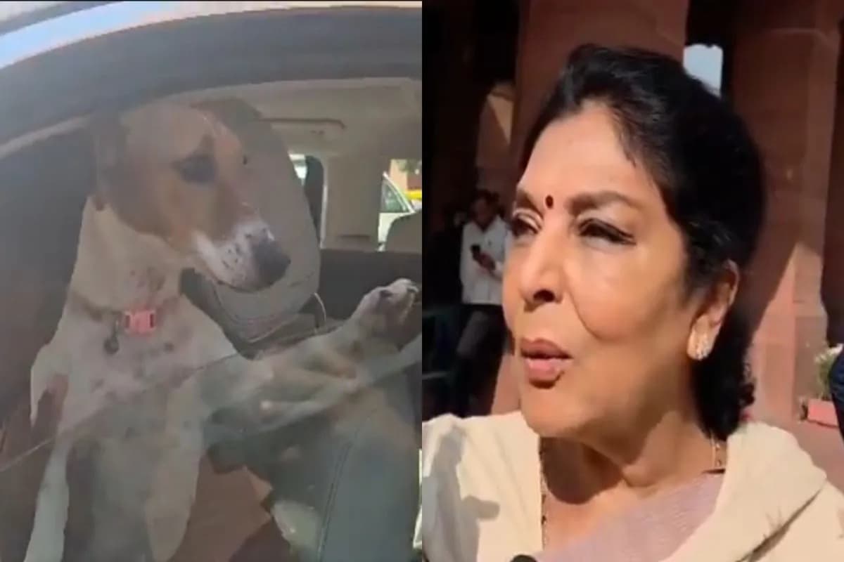 Parliament Winter Session Controversy: संसद में कुत्ता लेकर पहुंचीं कांग्रेस की ये सांसद! वीडियो हुआ वायरल तो मचा बवाल, बोली- काटने वाले तो अंदर बैठे हैं..