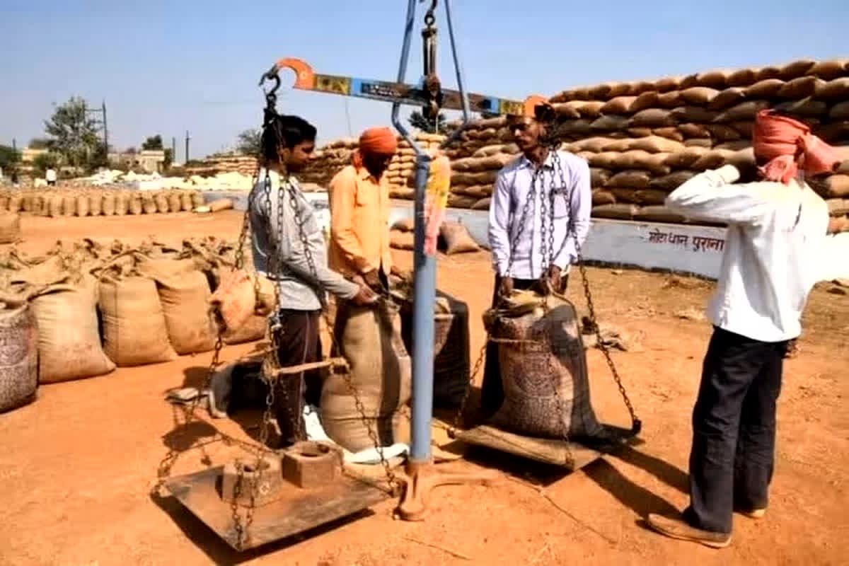 CG Dhan Kharidi Limit: किसानों के हित में एक और बड़ा फैसला, धान खरीदी की लिमिट में बढ़ोतरी, अब रोजाना इतने क्विंटल धान की होगी खरीदी