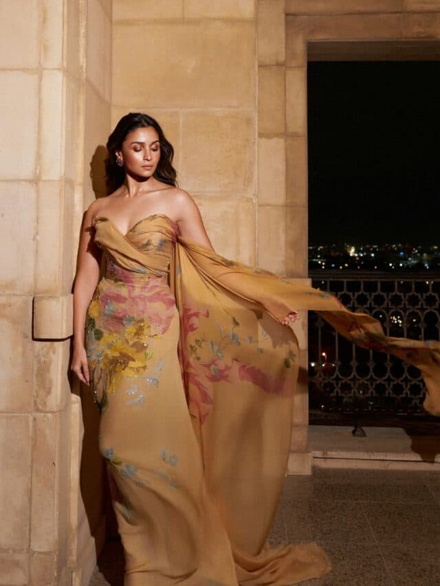 Alia Bhatt: ‘लव एंड वॉर’ एक्ट्रेस ने खोला दिल का राज! पाकिस्तान जाने के सवाल पर आलिया ने दिया ये जवाब