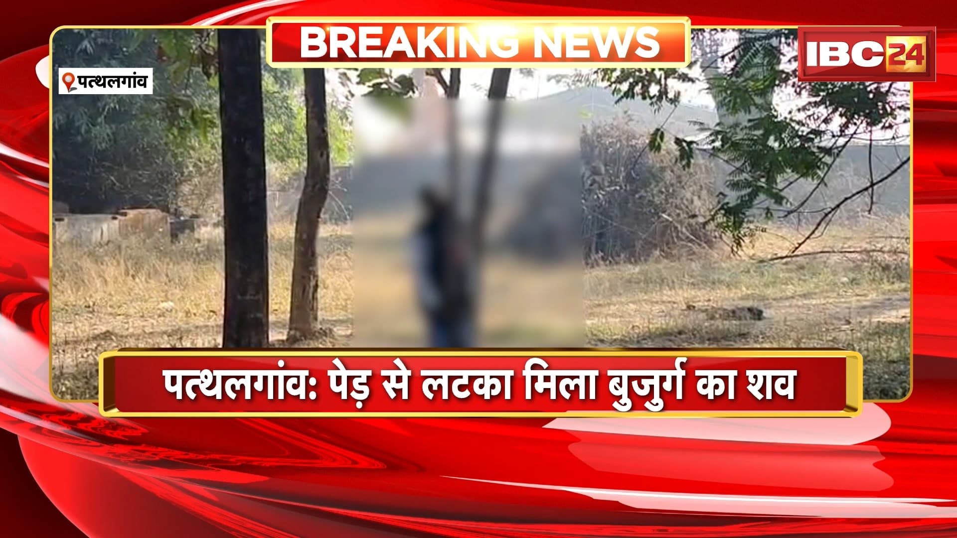 Pathalgaon News: पेड़ से लटका मिला बुजुर्ग का शव, परिजनों ने जताई हत्या की आशंका
