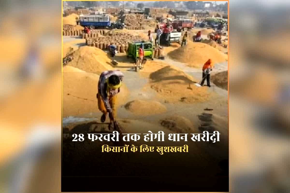 Dhan Kharidi Last Date 2026: 28 फरवरी तक होगी समर्थन मूल्य पर धान खरीदी, किसानों को चिंता करने की जरूरत नहीं, अन्नदाताओं के लिए खुशखबरी