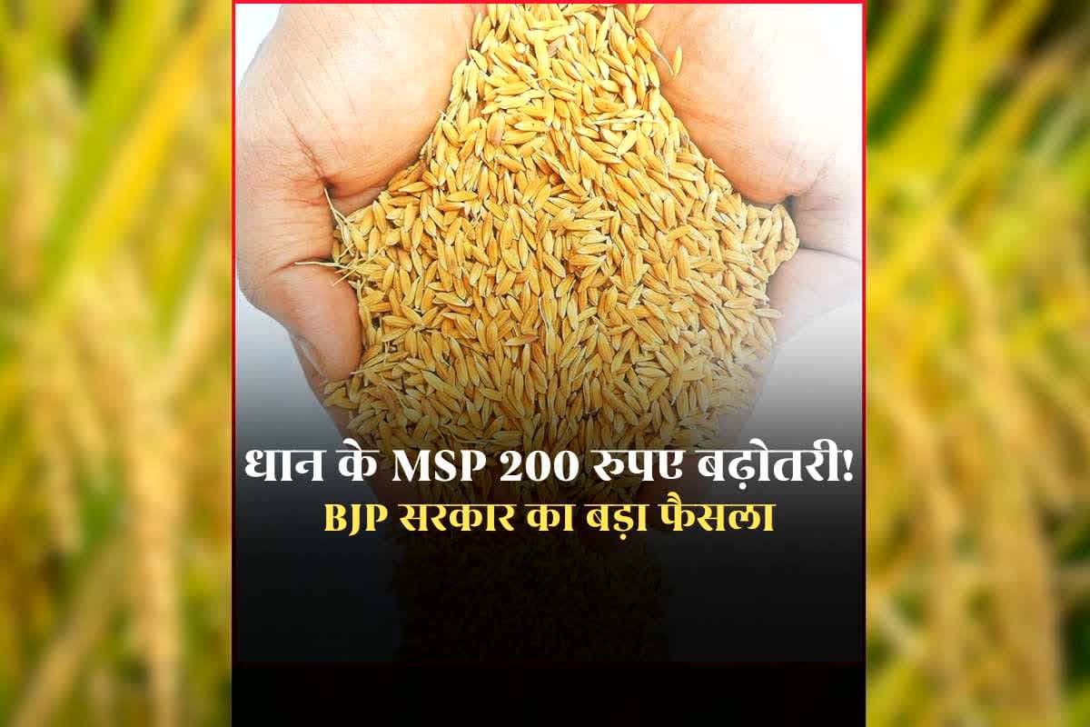 Dhan Ka MSP Rate Kya Hai: धान के समर्थन मूल्य में 200 रुपए बढ़ोतरी का प्रस्ताव, धान खरीदी के बीच BJP सरकार ने लिया बड़ा फैसला, जानिए कब से मिलेगा लाभ