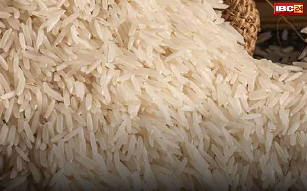 CG Rice Warehouse Damage: OMG..! साल की शुरुआत में बड़ी सरकारी चूक, इस जिले के वेयरहाउस में 30 हजार क्विंटल चावल खराब, 18 करोड़ से ज्यादा का नुकसान