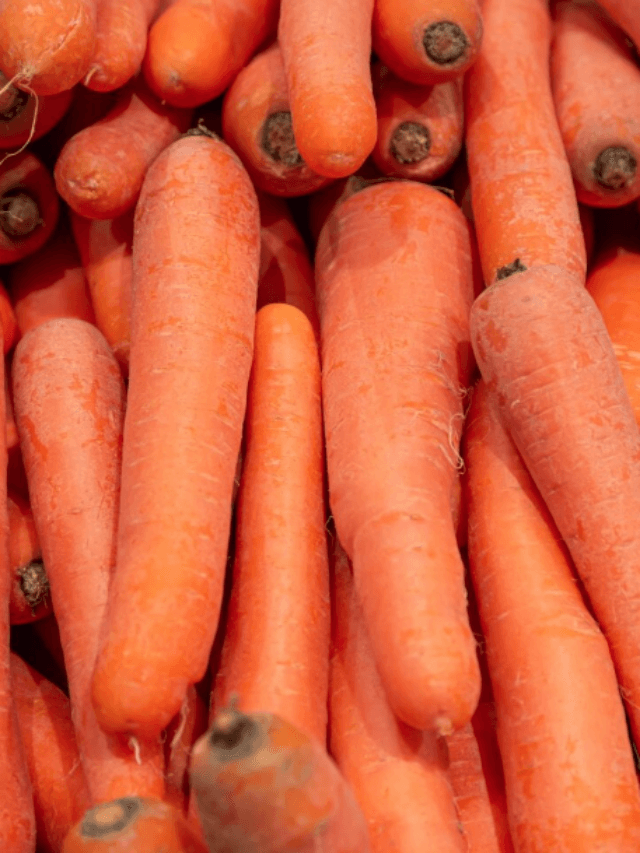 Benefit Of Eating Carrot:गाजर खाने के जबरदस्त फायदे