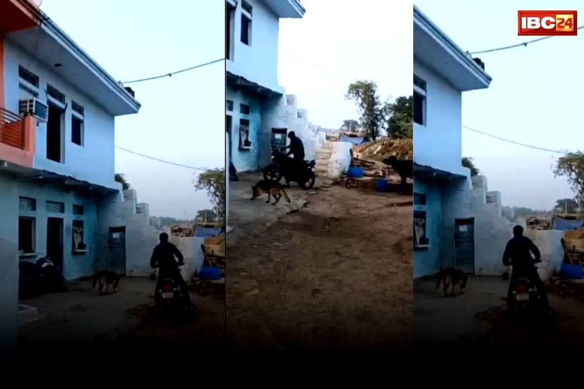 Gwalior News: बंद कमरा और सगे भाई का खौफ! क्या पति ने ही रची थी अपनी पत्नी के ‘खून’ की साजिश? वायरल वीडियो ने हिला दी पूरी कहानी