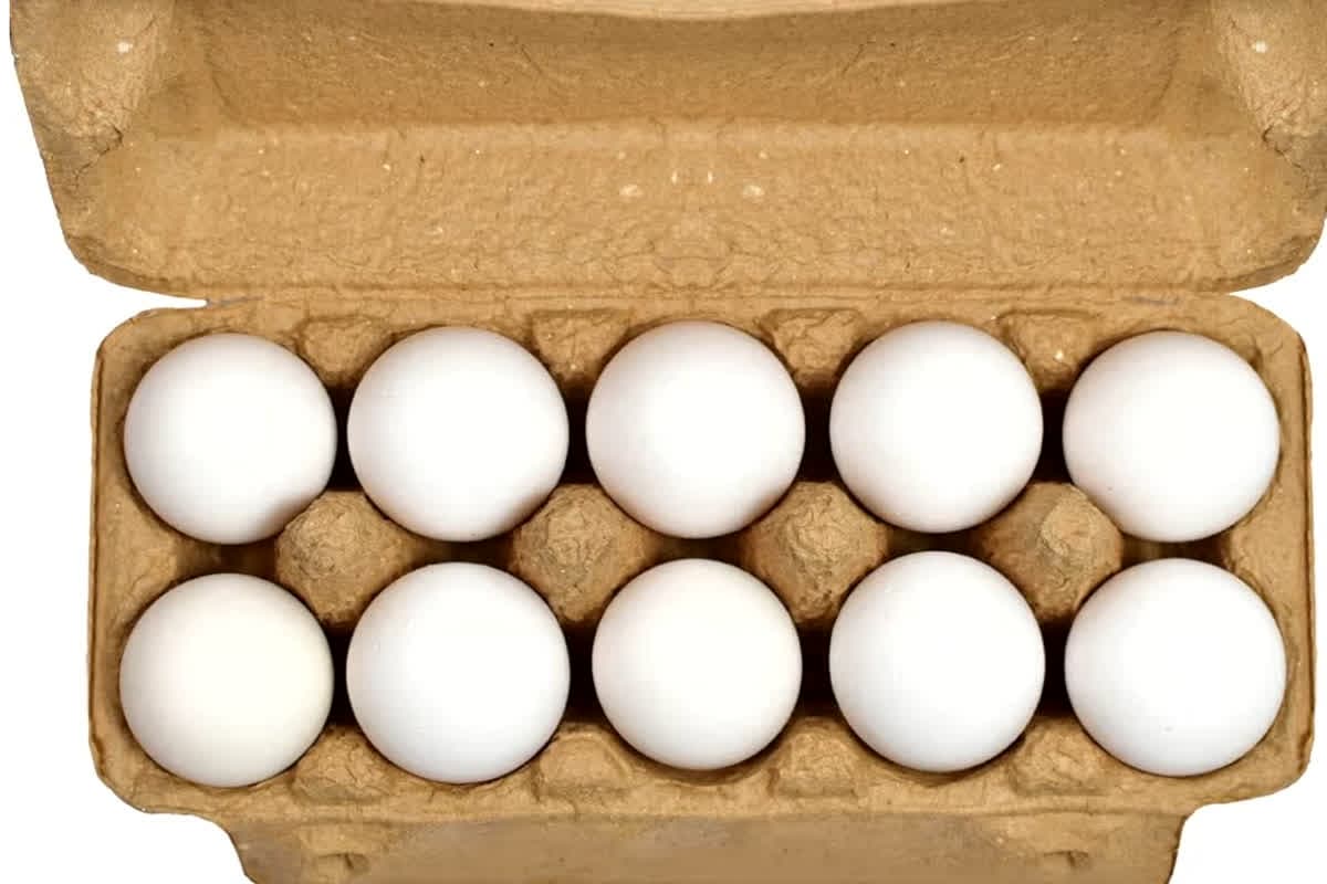 Karnataka Egg Controversy: क्या आप भी रोज खाते हैं अंडा? रुकिए! इस खबर को पढ़ने के बाद शायद आप उसे हाथ भी न लगाएं, जाने क्यों ?