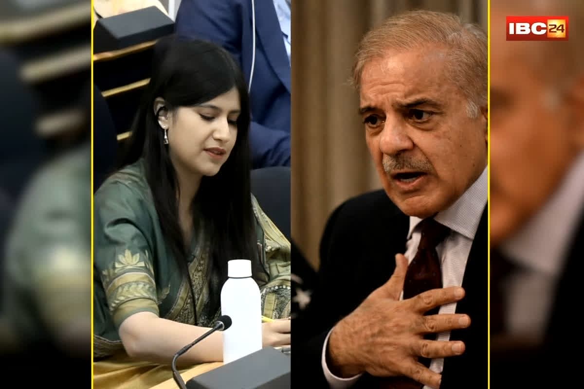 UN Human Rights Council Meeting: ‘हमारा कश्मीर का बजट, तुम्हारी IMF से मिले भीख से ज्यादा…’, भारत की बेटी ने UN में पाकिस्तान की निकाल दी हेकड़ी, देखें वीडियो