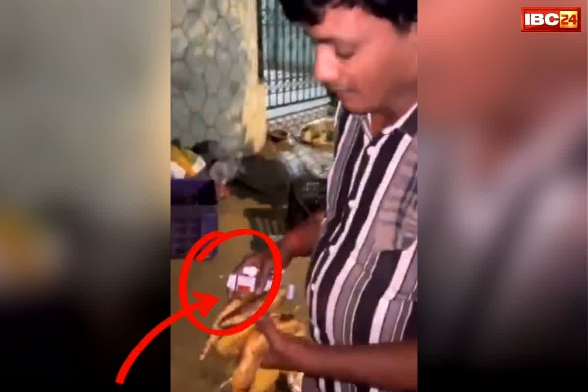 Mumbai Fruit Mixed Rat Poison: ‘आपके फलों में तो नहीं मिला चूहामार दवा?’.. शख्स की घिनौनी हरकत देखकर पीट लेंगे माथा, वायरल हो रहा वीडियो