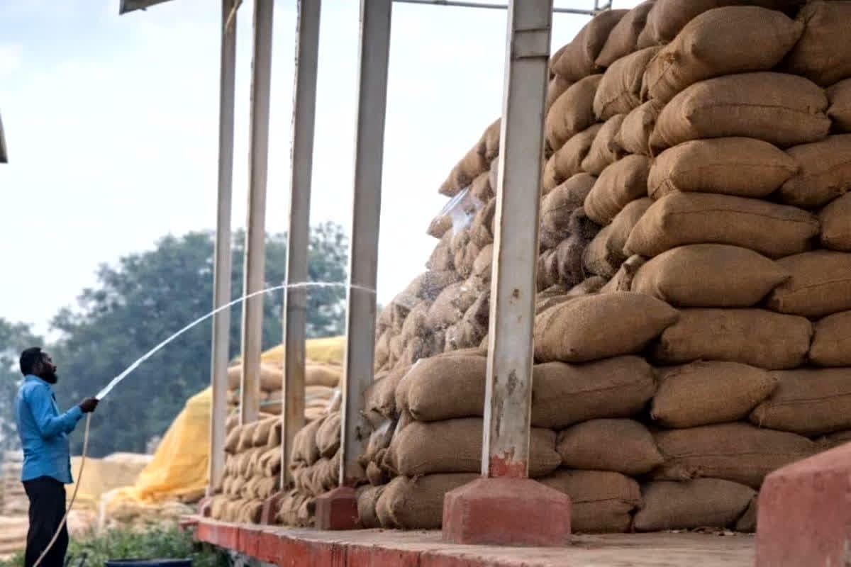 Chhattisgarh Dhan Kharidi News: धान खरीदी केंद्र में धान की बोरियों में डाला जा रहा था पानी! IBC24 की खबर के बाद कलेक्टर का बड़ा एक्शन, BJP विधायक बोले- कांग्रेस का खेल?
