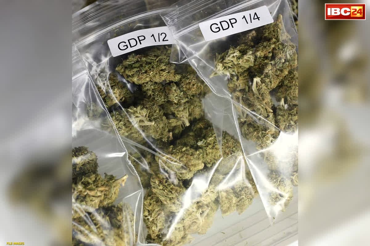 Chhattisgarh Ganja Taskari News: तरबूज के पीछे छिपा रखा था ‘जहर का जखीरा’.. छत्तीसगढ़ में पुलिस ने जब्त किया एक करोड़ से ज्यादा का गांजा