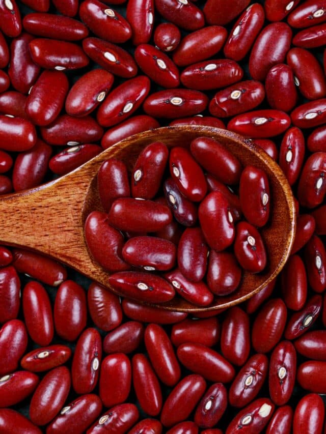 Benefits of Rajma: राजमा में प्रोटीन की मात्रा जानकर आप हो जाएंगे हैरान!