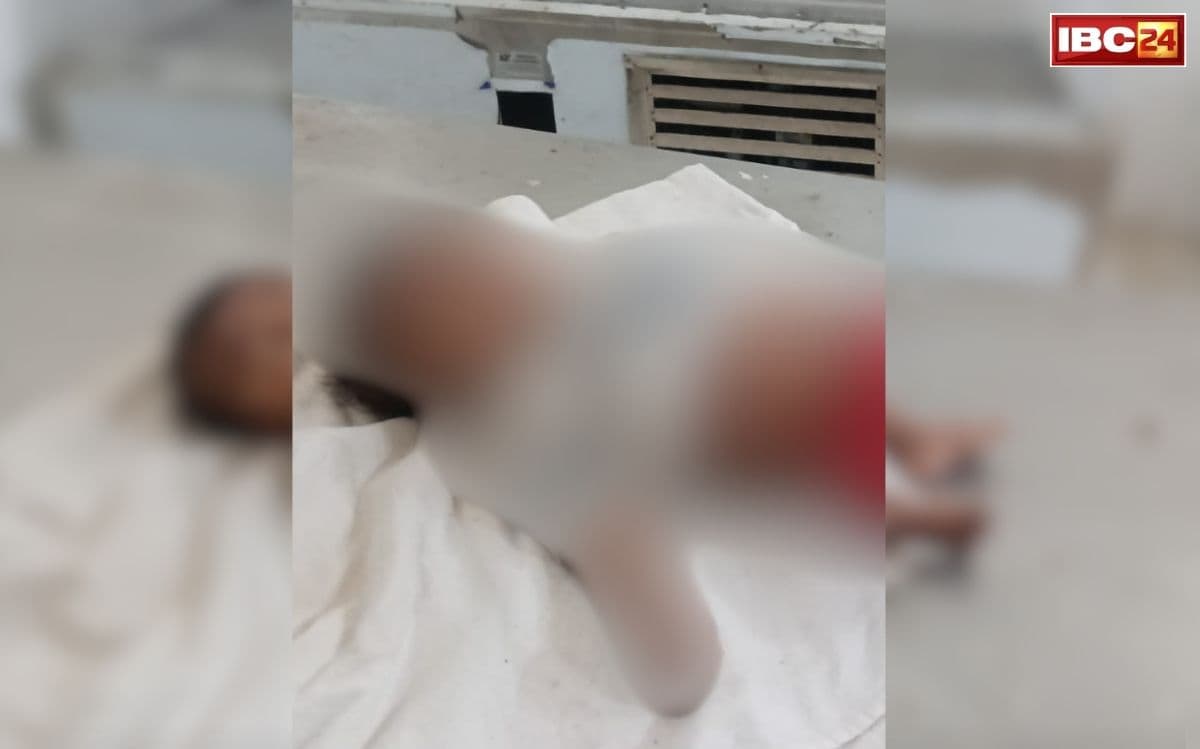 Surajpur Mother Killed Daughter: CG में दिल दहला देने वाली घटना! महज इस वजह से मां ने 4 महीने के बच्चे की जमीन पर पटक कर ली जान, मामला पढ़कर दंग रह जाएंगे आप
