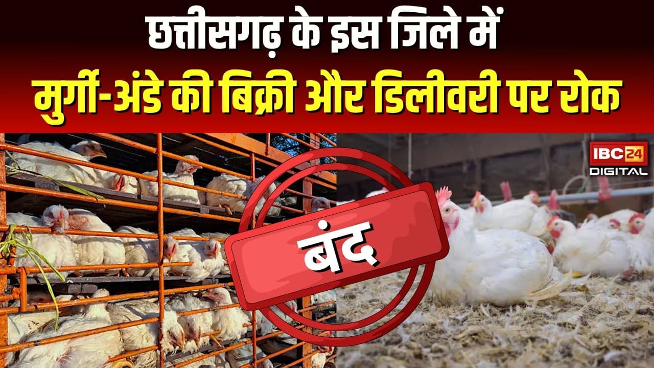 Bird Flu News: Chhattisgarh के इस जिले में अब मुर्गी-अंडे की बिक्री और डिलीवरी पर रोक |
