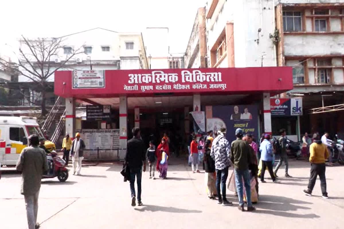 Jabalpur Medical College News : नहीं मिली सुविधा तो परिजन खुद बन गए वॉर्ड बॉय, स्ट्रेचर पर मरीजों को ले जा रहे इधर से उधर, महाकोशल के सबसे बड़े सरकारी अस्पताल में अव्यवस्था का आलम