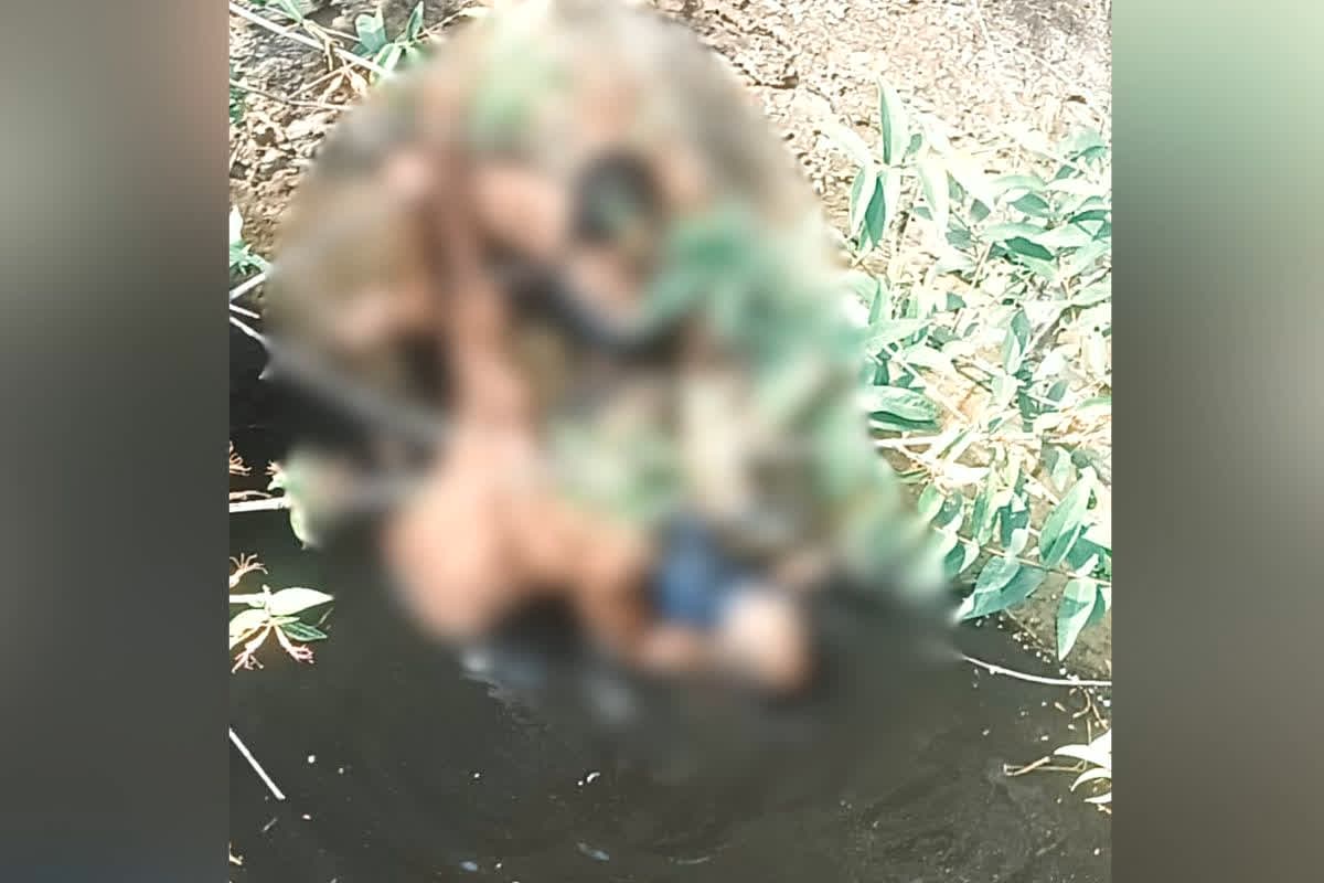 Korba Crime News : 7 साल के मासूम को बहला-फुसलाकर ले गया दरिंदा, फिर करने लगा घिनौना काम, विरोध करने पर मासूम के साथ कर दिया खौफनाक कांड
