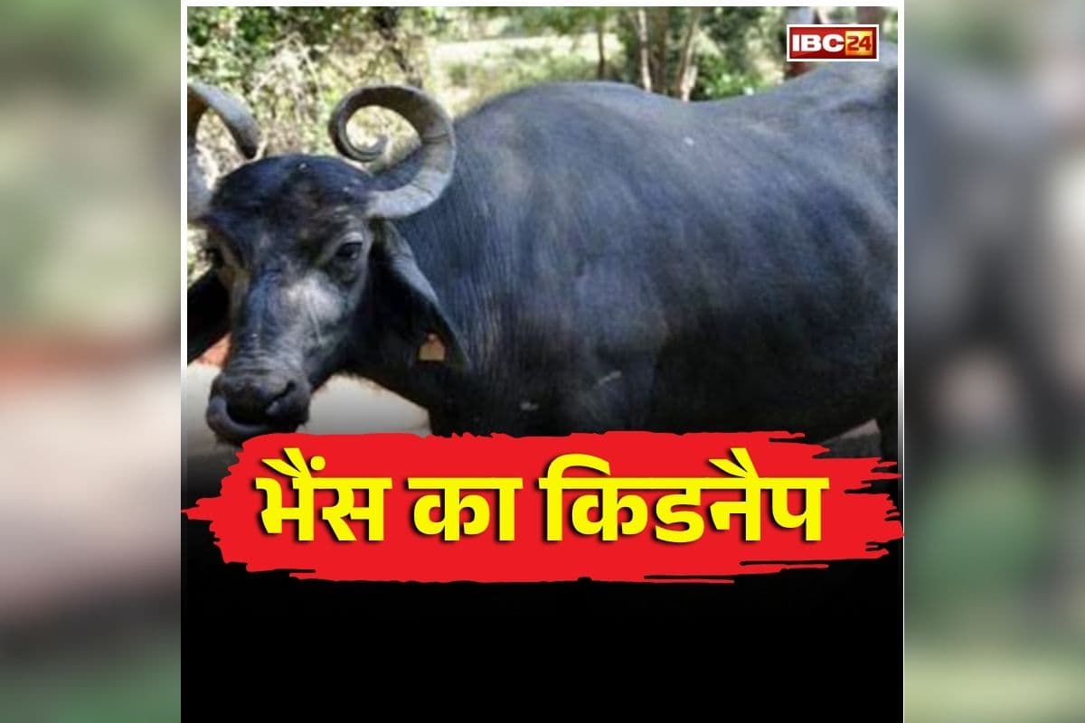 Morena Crime News: अपराध का नया खेल, यहां इंसान नहीं, कुछ और हो रहा ‘किडनैप’, फिर फोनकर मांगी जा रही मोटी रकम
