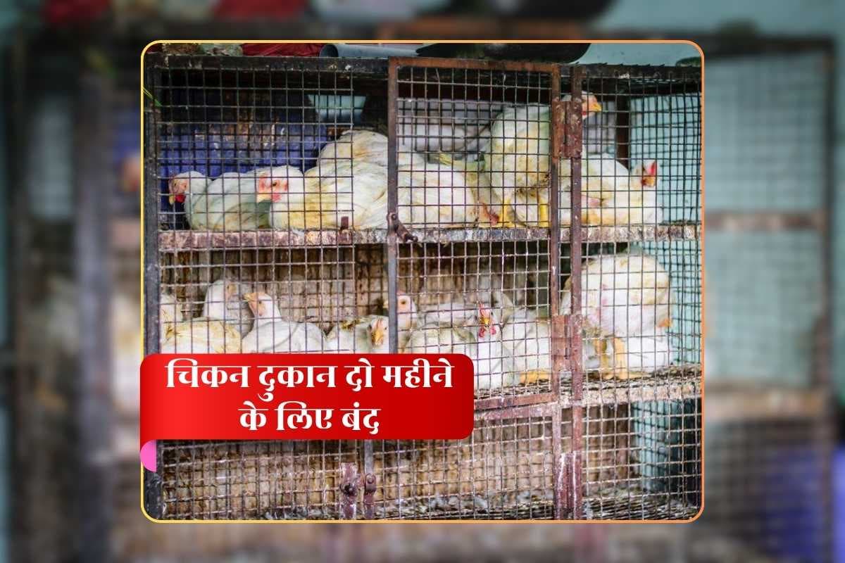 Chicken Shops Closed for 2 Months: चिकन दुकान दो महीने के लिए रहेगा बंद! सरकारी पोल्टी फार्म पर भी 6 महीने प्रतिबंध का मंडरा रहा खतरा, बर्ड फ्लू के चलते प्रशासन ले सकता है बड़ा फैसला