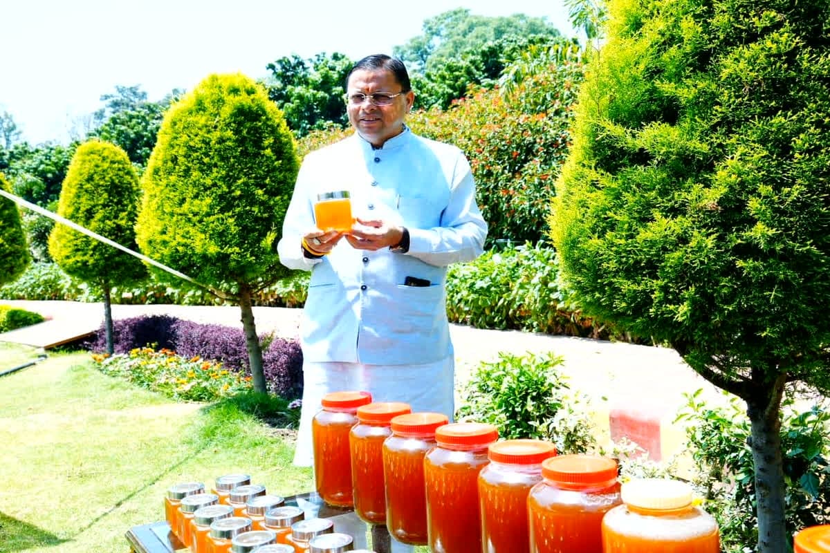 CM Pushkar Singh Dhami News: वन क्षेत्रों में होगी बी-बॉक्स की स्थापना, सीएम धामी ने किया शहद निकालने की प्रक्रिया का अवलोकन, किसानों के लिए किया ये बड़ा ऐलान