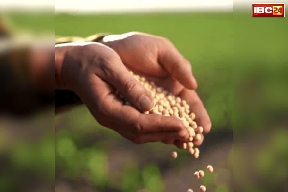 UP Farmers Seed Subsidy 2026: किसानों के लिए बड़ी खुशखबरी! सरकार दे रही आधी कीमत पर ये बीज, इस तारीख से शुरू होगा वितरण