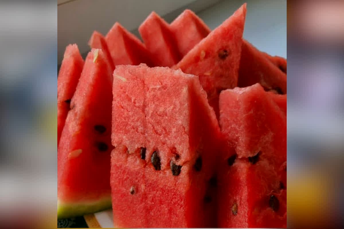 Gorakhpur Watermelon News