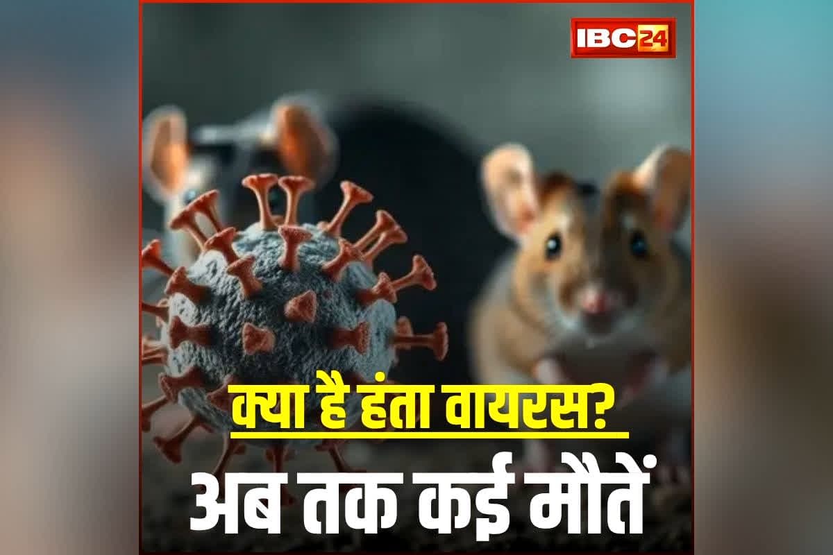 Hanta Virus News: क्या है हंता वायरस? जिससे दहशत में है पूरी दुनिया, अब तक कई मौतें, दर्जनों लोग चपेट में