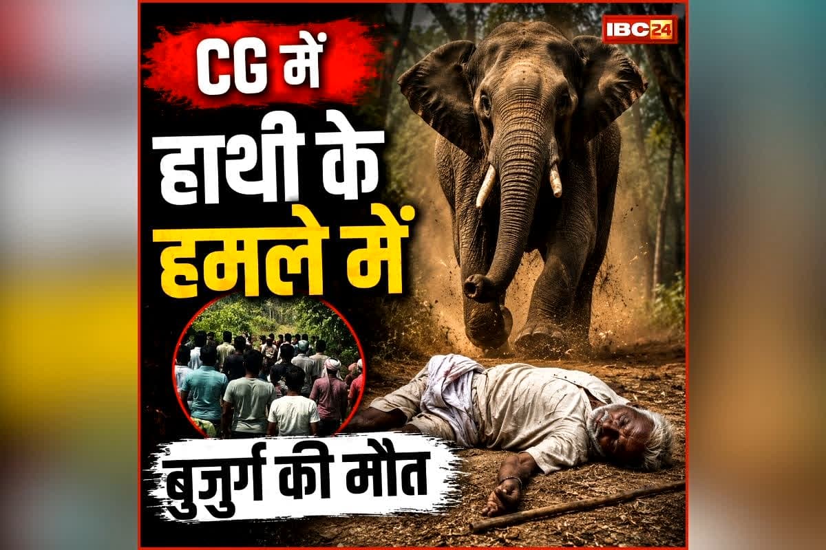 Raigarh Elephant Attack: छत्तीसगढ़ के इस जिले में हाथियों का आतंक, बुजुर्ग को पटक-पटक कर मार डाला, इलाके में दहशत का माहौल