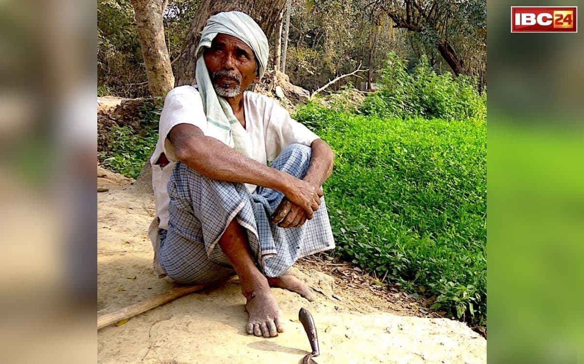Chhattisgarh Fertilizer Crisis: छत्तीसगढ़ में खरीफ सीजन से पहले किसानों की बढ़ी चिंता! खाद-यूरिया की कमी को लेकर मचा बवाल, कांग्रेस ने खोल दिया मोर्चा