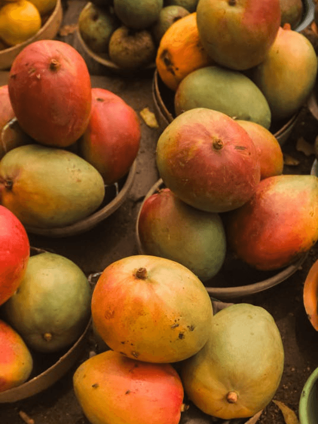 Who Should Not Eat Mango : सावधान! इन 8 लोगों के लिए ‘जहर’ समान हो सकता है आम, कहीं आप भी तो नहीं?
