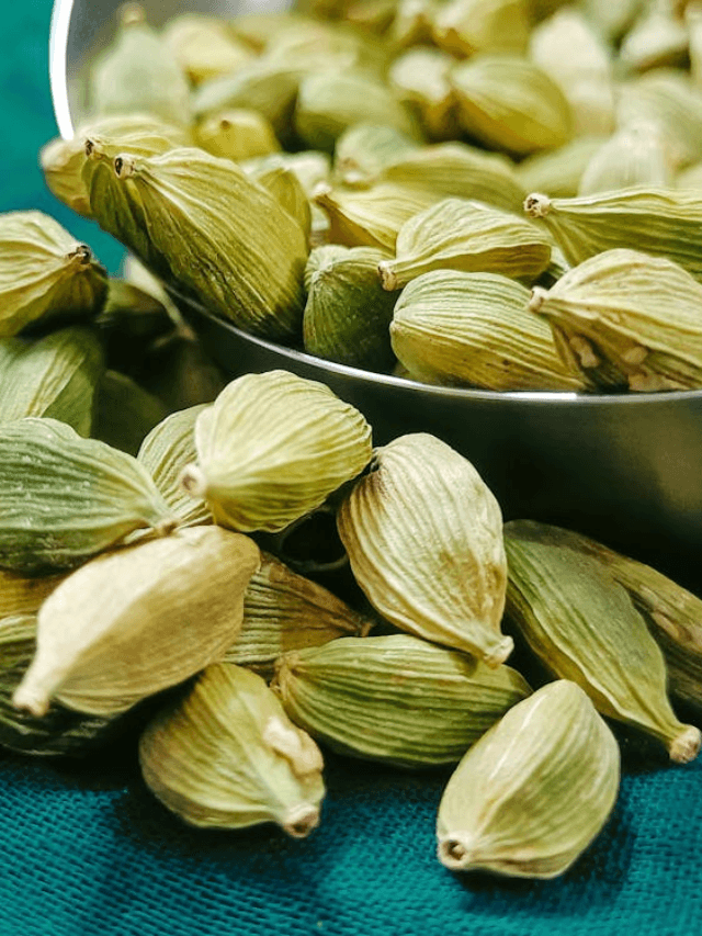 Cardamom water benefits : सुबह खाली पेट पिएं ‘इलायची वाला पानी’; 8 दिन में शरीर में होंगे ये चौंकाने वाले बदलाव